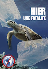 tortue2.jpg